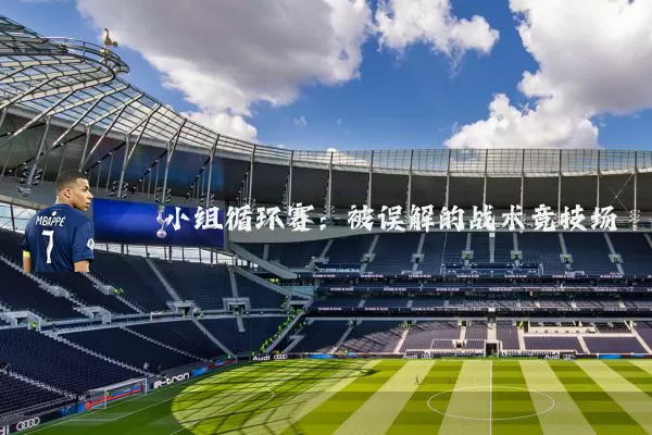 小组循环赛：被误解的战术竞技场